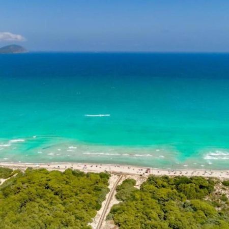 Beach House Alcudia Εξωτερικό φωτογραφία
